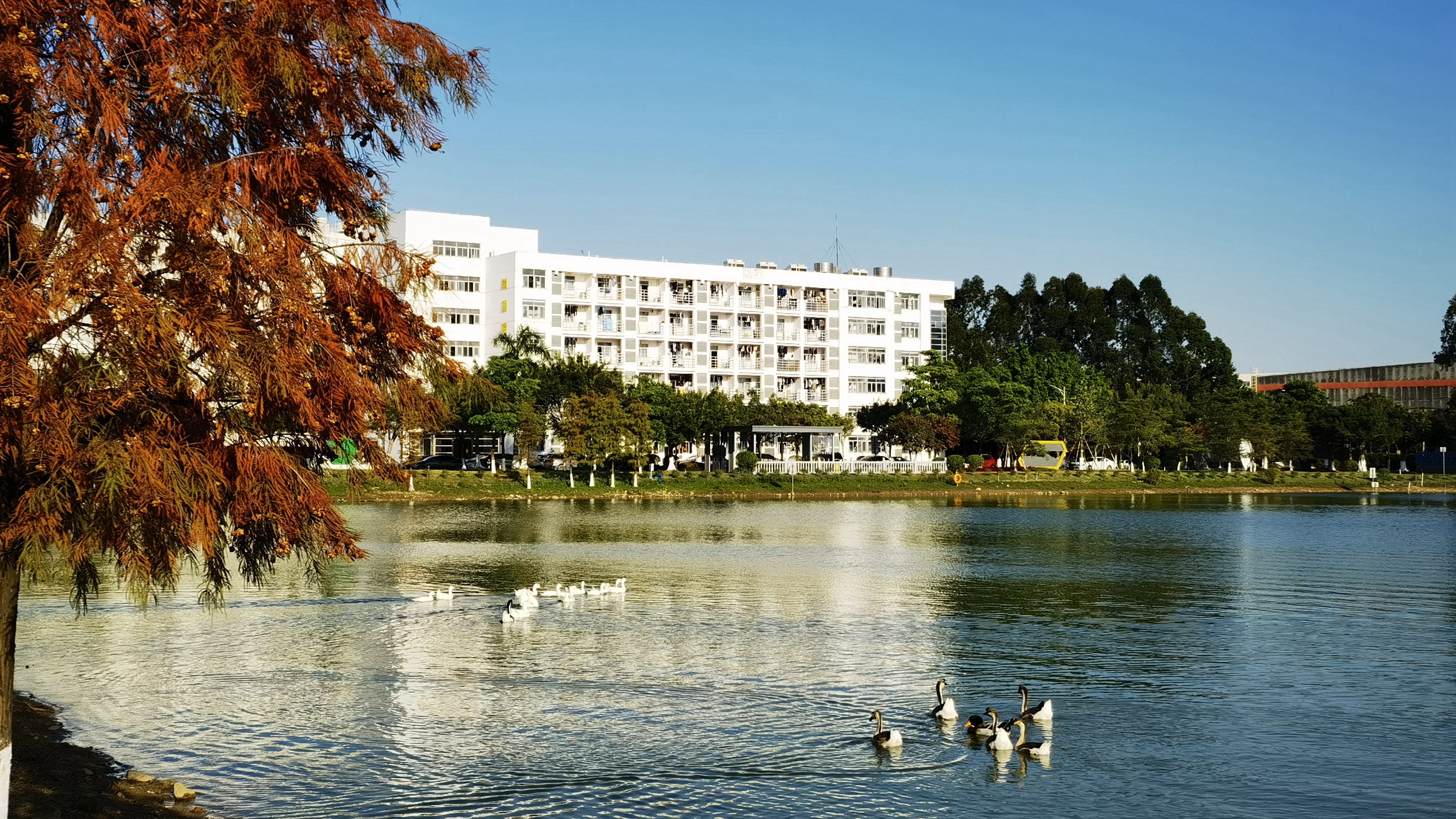 永信贵宾会·(中国)诚信为本！